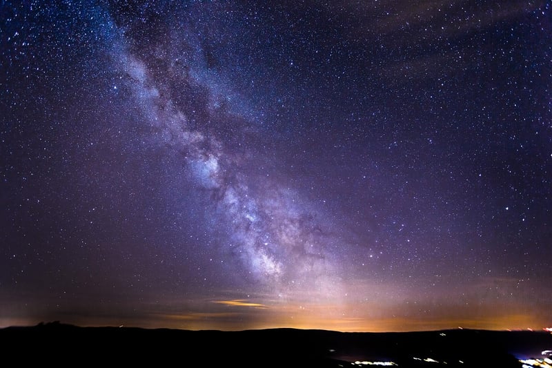 Starlit Gardens