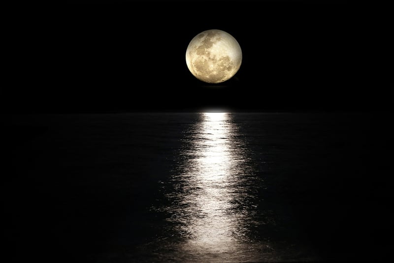 Moonlit Magic